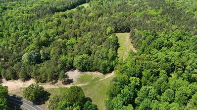 Silerton Rd, Toone, TN 38381 - photo 7