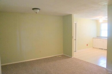 14 Edgewood Ct, Freeburg, IL 62243 - photo 3