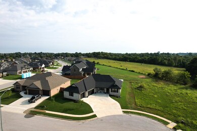 aerial 1