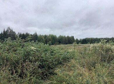 3 Abel Cyr Rd, Hamlin, ME 04785 - photo 5