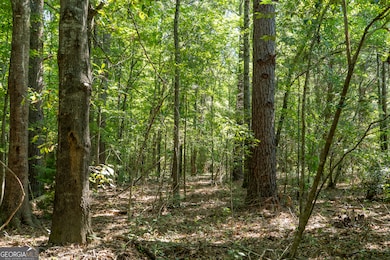 0 Plantation Rd, Warner Robins, GA 31093 - photo 5