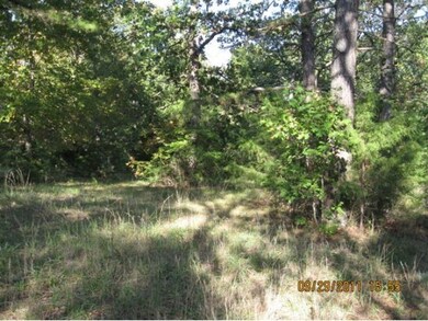 0 Old Stone School Rd, Ruth B Rural Township, MO 65686 - photo 2