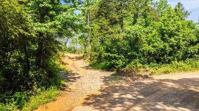 Tract 3 Harmony Mountain Rd, Clinton, AR 72031 - photo 4