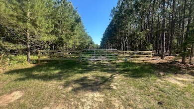 0 Dorsey Clark Rd unit 23736139, Sylvania, GA 30467 - photo 3