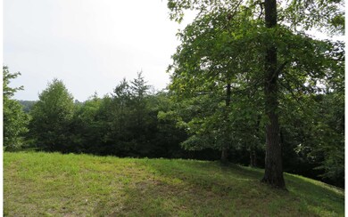 Additional View