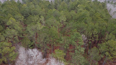 DJI_0566