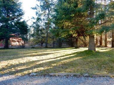 side yard
