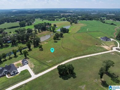 Lot 2 County Road 706, Cullman, AL 35055 - photo 6