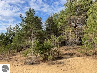 Parcel F-3 N 2 1 2 Rd, Hanover Township, MI 49620 - photo 4