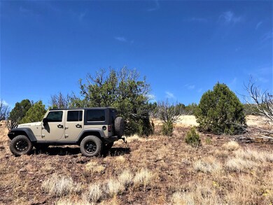 1200 W Warren Way, Ash Fork, AZ 86320 - photo 4