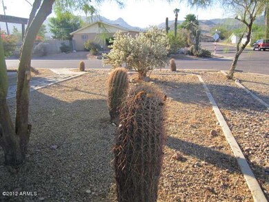 023-161643 - Front Vegetation