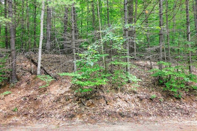 Lot H-15 Tobey, Campton, NH 03223 - photo 3