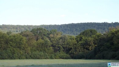 This open field is right as you enter the property