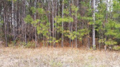 Lot S3 Wedgefield Rd, Georgetown, SC 29440 - photo 7