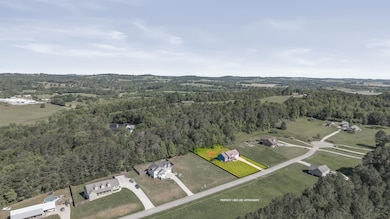 123 Tommy Loop-26