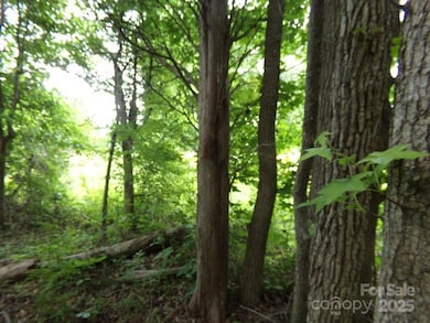 1.5 Ac Pinckney Rd, Chester, SC 29706 - photo 5