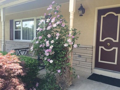 mitzi front flowers