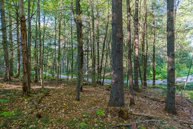 22-00 Lakeview Dr, Bristol, ME-TP