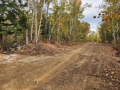 Lot C Fern Way, Hartford, ME 04220 - photo 4