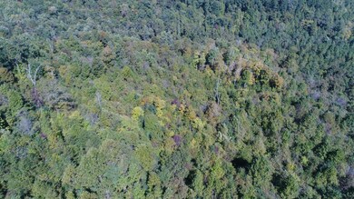 200 Wesley Chapel Rd, Somerset, KY 42501 - photo 7