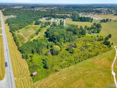 28 Acres 3117 Ridgeway Dr SW, Decatur, AL 35603 - photo 7