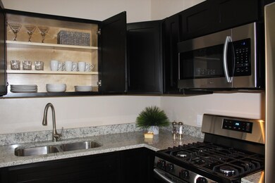 3921 Mountain Ave, El Paso, TX 79930 - photo 7