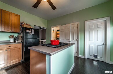 1521 Delavan St, Lincoln, IL 62656 - photo 4