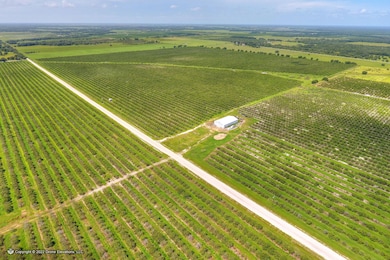 5015 Fish Branch Rd, Zolfo Springs, FL 33890 - photo 5