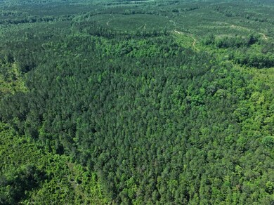 0 Canyon Rd, Lumpkin, GA 31815 - photo 7