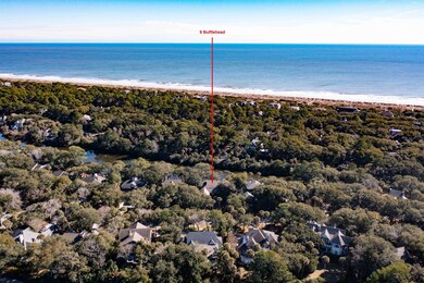 9 Bufflehead Aerials-3