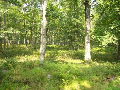 LOT 42 Fawn Lake Dr, Lackawaxen Township, PA 18428 - photo 5