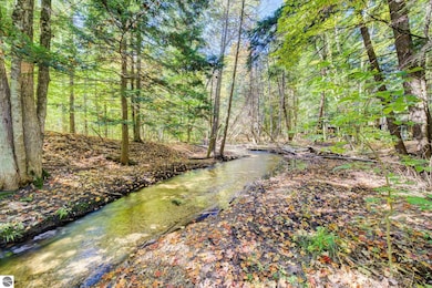 6497 Deer Path unit 117, Bellaire, MI 49615 - photo 3