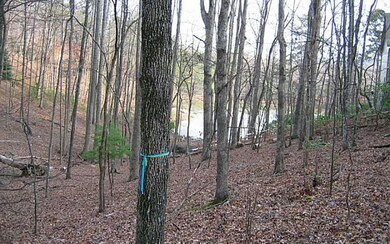 Additional View