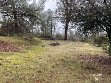 Large Flat on Upper Portion of Parcel