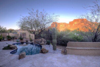 Back yard 1