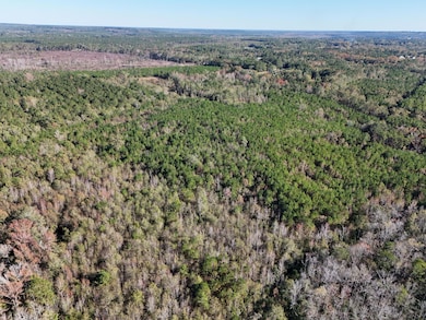 0 Mayrant Rd, Rembert, SC 29128 - photo 3