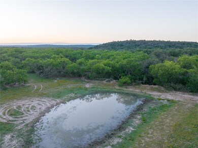 Aerial view at dusk of a water view and a forest 