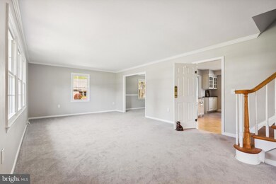 315 Five Farms Dr, Stevensville, MD 21666 - photo 4