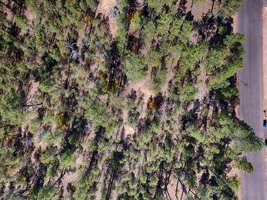 1840 S Bristlecone Dr, Show Low, AZ 85901 - photo 2