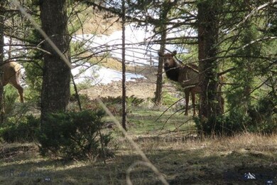 TBD Riverview Lane Lot 8, Big Sky, MT 59716 - photo 5