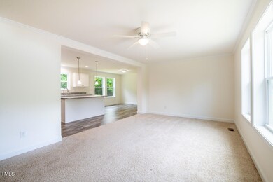 403 Chatham View Rd, Ramseur, NC 27316 - photo 6