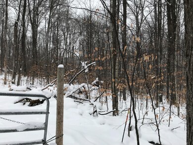 0 Sugar Maple Trail, Corwith Township, MI 49795 - photo 7