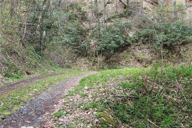 0000 Big Spring Trail unit 61, Qualla, NC 28719 - photo 5