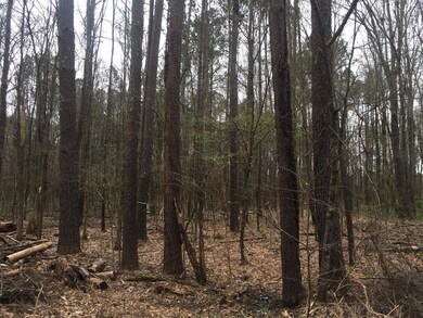 0 Kings Arms Rd unit 19-572, Starkville, MS 39759 - photo 2