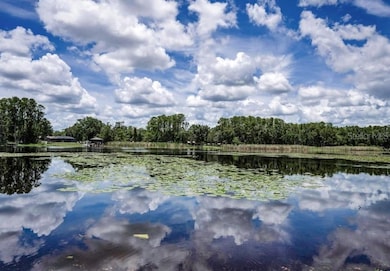 4635 Cobb Rd, Land O' Lakes, FL 34638 - photo 4