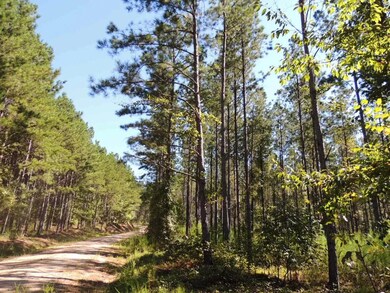 Tr 5 unit 19.018 ac Pike Roa, Franklin, GA 30217 - photo 4