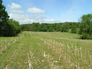 2015 Jefferson Rd, Ionia, MI 48846 - photo 3