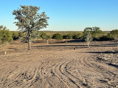 185 County Road 171, George West, TX 78022 - photo 5