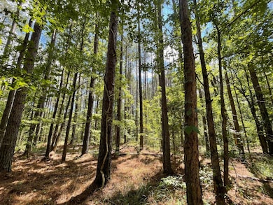 00 Mississippi 7, Grenada, MS 38901 - photo 3