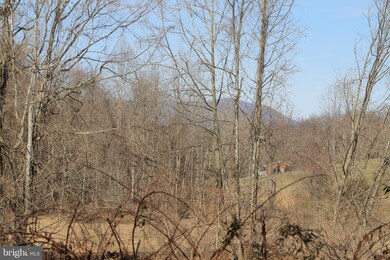 0 Slate Mills Rd unit VARP106142, Sperryville, VA 22740 - photo 2